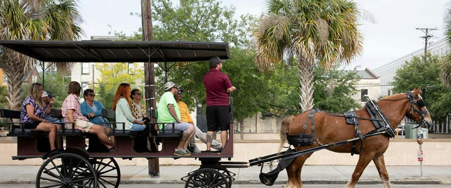 How much does a carriage ride cost in charleston sc?