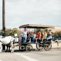 Discover the Charm of a Carriage Tour: A Perfect Option for Your Family Reunion Outing