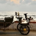 Discover the Convenience of Carriage Tours