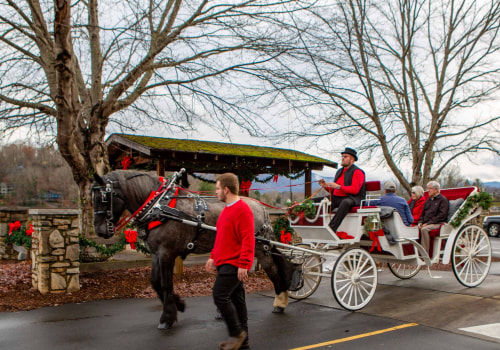 Cover More Ground in Less Time: The Benefits of Taking a Carriage Tour