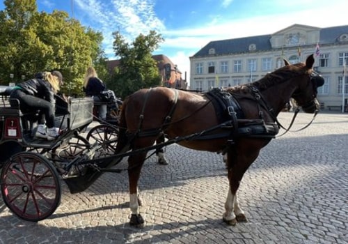 Discover the Beauty of Carriage Tours for Couples
