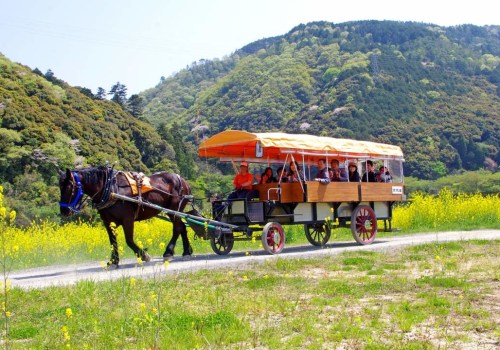 A Slow-Paced Sightseeing Experience: Exploring the City on a Carriage Tour