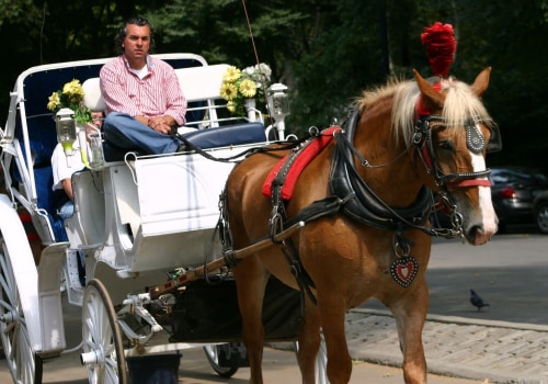 Insightful Commentary from Driver: The Benefits of Taking a Carriage Tour