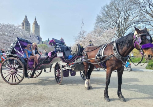 Discover the Magic of Famous Landmarks on a Carriage Tour